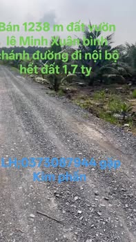 Đất vườn 1238m² Lê Minh Xuân, Bình Chánh - Sổ riêng, giá 1.7 tỷ!