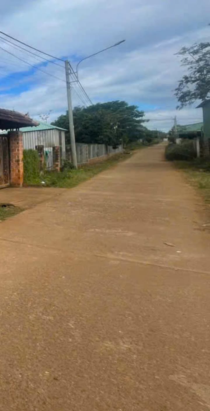 Đất nền hẻm chính Bùi Viện, phường An Phú, 444m² chỉ 1,2 tỷ - Đầu tư sinh lời ngay!