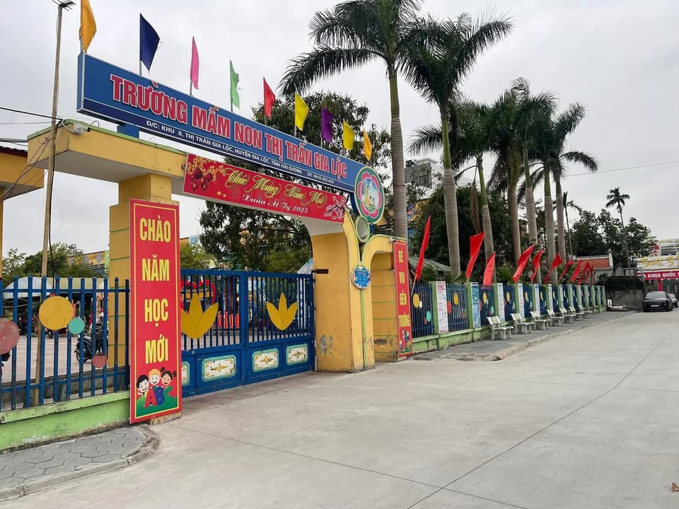 Đất đấu giá chợ cuối Thị trấn Gia Lộc 80m² giá tốt - Cơ hội đầu tư hấp dẫn!