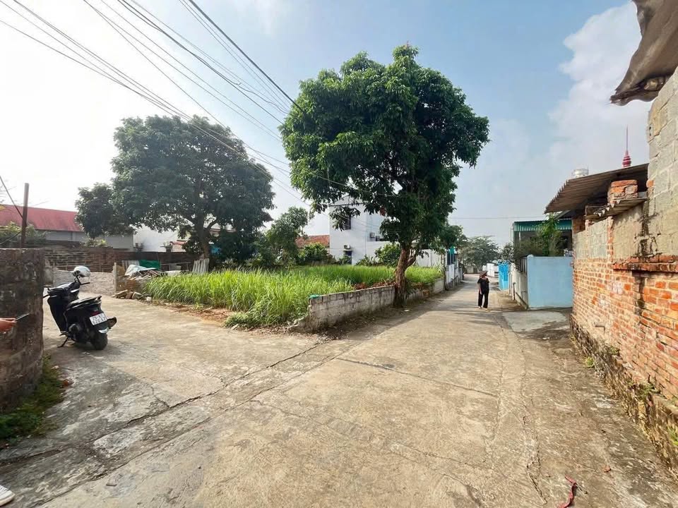 Đất thổ cư 173m² xã Đông Yên, Quốc Oai - Lô góc 2 mặt thoáng cực đẹp!