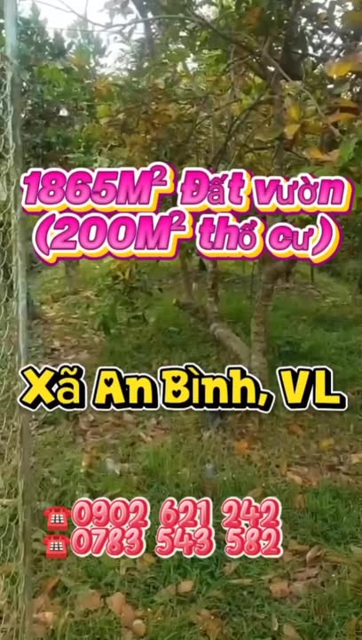 Đất vườn An Bình Vĩnh Long 1.865m² giá 1,4 tỷ - Đầu tư sinh lời ngay!