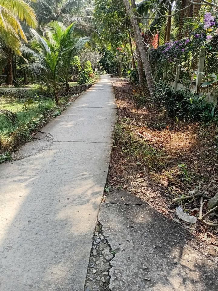 Đất vườn 11.000m² xã Hòa Bình, Trà Ôn - Giá chỉ 190 triệu/1000m²!