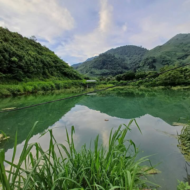 Trang trại Bản Cầm, Bảo Thắng 40,000m² giá 2.85 tỷ - Lý tưởng cho an dưỡng tuổi già!