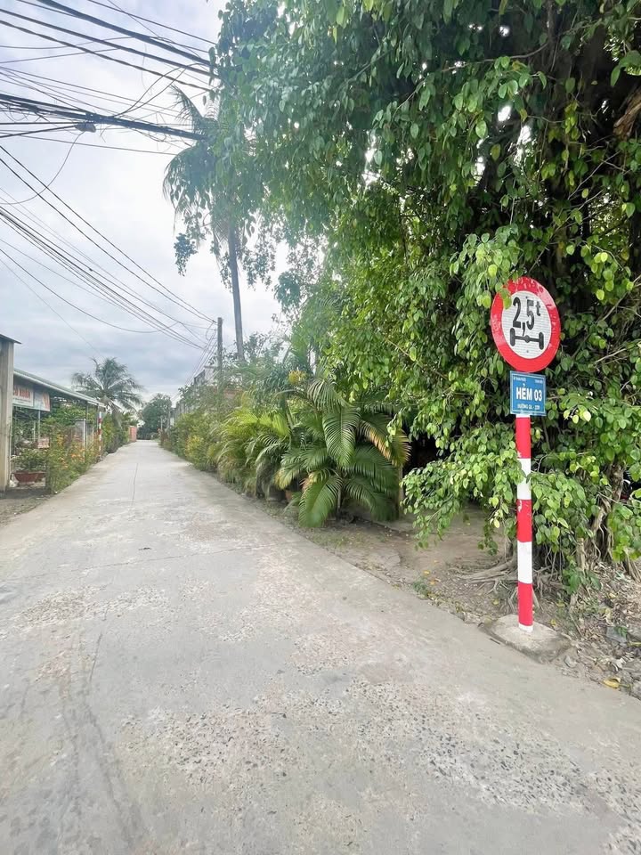 Đất nền mặt tiền đường bê tông Thanh Phước, Tây Ninh 125m² - Giá tốt cho đầu tư!