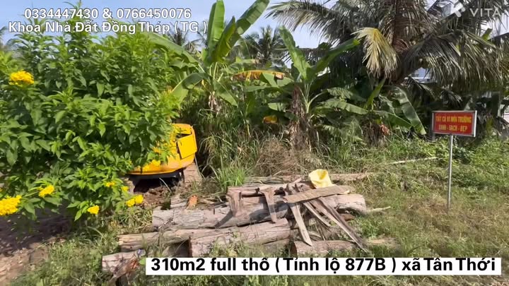 Đất thổ cư xã Tân Thới, huyện Tân Phú Đông 310m² giá 1.3 tỷ - Tiềm năng đầu tư vượt trội!