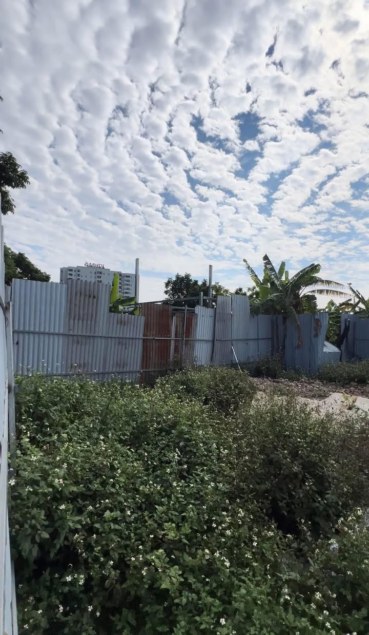 Đất nền Định Công Hạ 150m² giá 2.325 tỷ - Đầu tư sinh lời hấp dẫn!