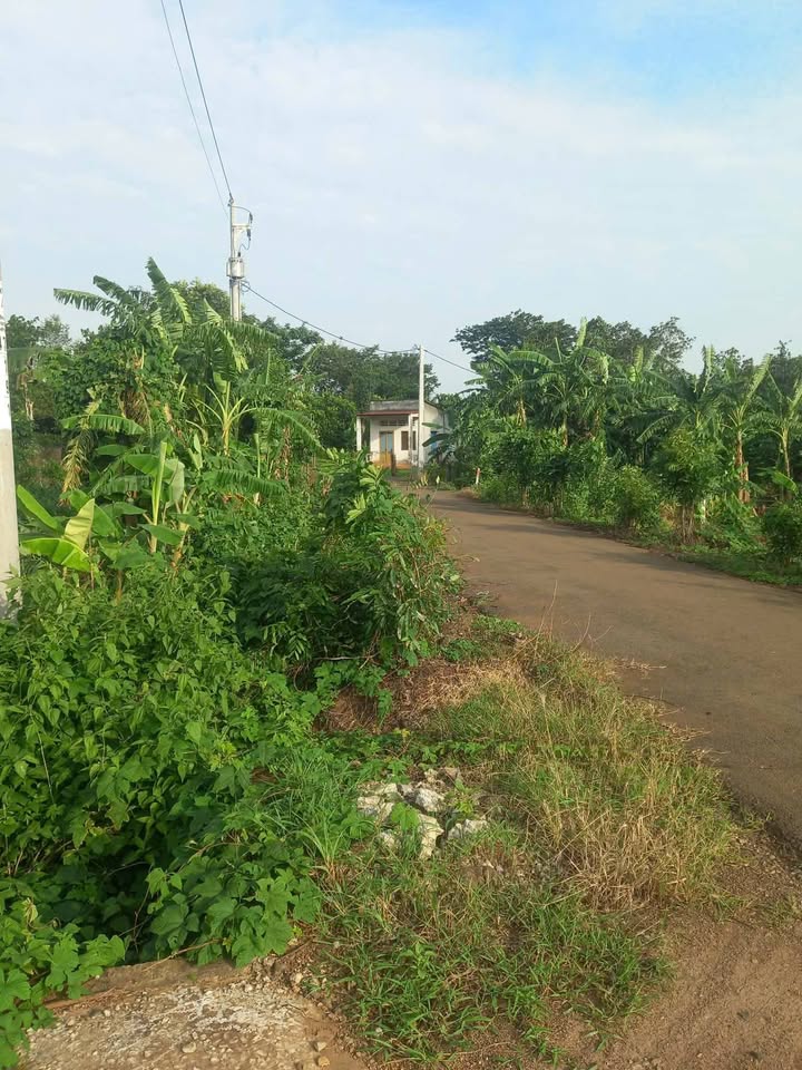 Đất nền Ngãi Giao 2200m² - Tiềm năng đầu tư hấp dẫn!