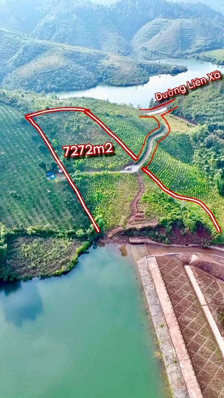 Đất rừng sản xuất 7000m² Hợp Phong, Cao Phong - Giá chỉ 600 triệu - Phong cảnh tuyệt đẹp!