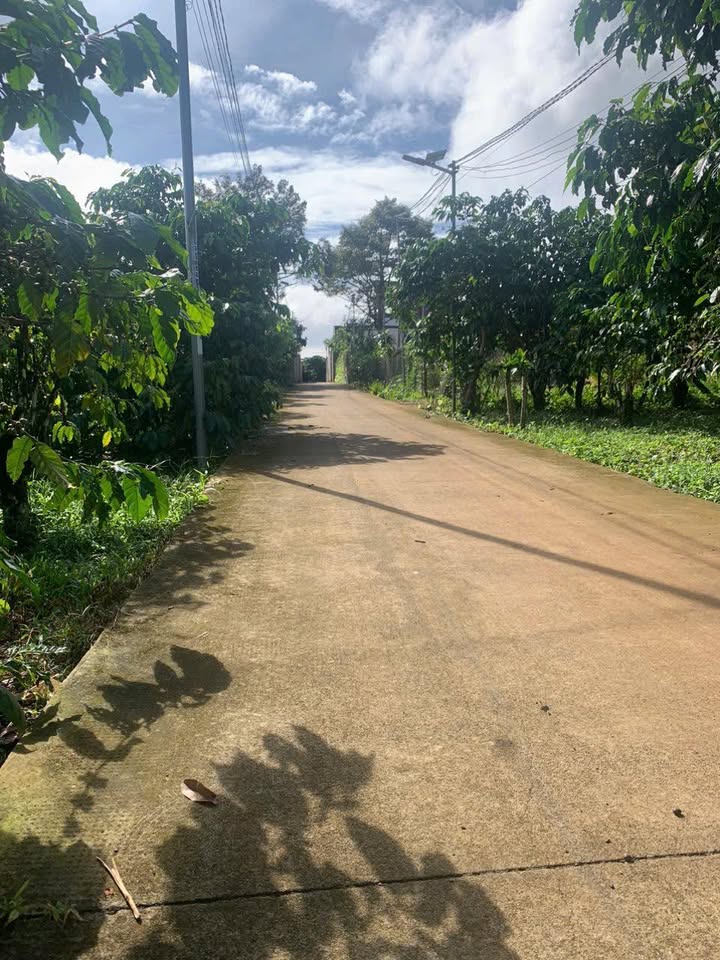 Đất nền Lộc Phát Bảo Lộc 360m² giá 1.6 tỷ - Cơ hội đầu tư hấp dẫn!