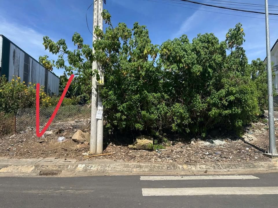 Đất mặt tiền Phạm Hồng Thái, Đà Lạt 90m² giá 10.5 tỷ - Cơ hội đầu tư tuyệt vời!