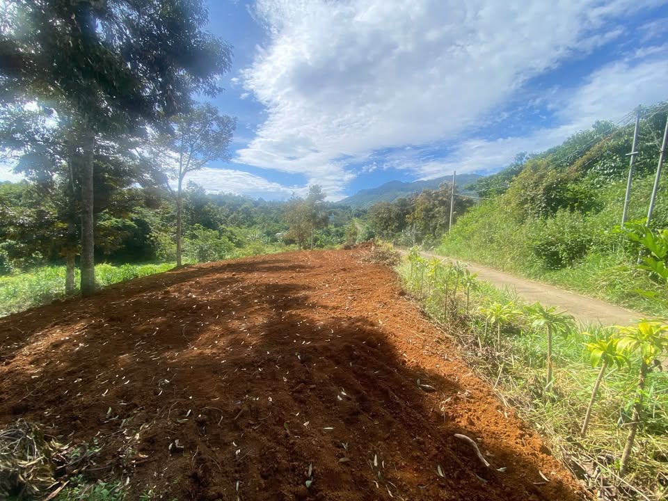 Đất mặt tiền Chi Lăng 160m² giá 850 triệu - Cơ hội đầu tư hấp dẫn!