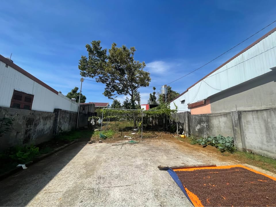 Đất nền đẹp tại hẻm đường Trần Nguyên Hãn, Bảo Lộc - 514m² chỉ 4.6 tỷ!