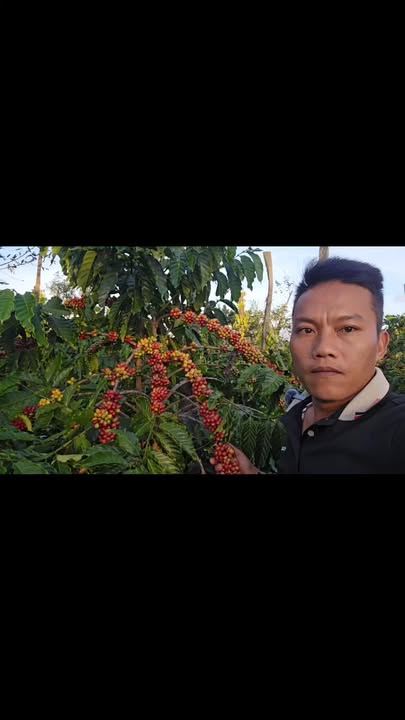 Đất nền xã Đức An Lâm Đồng 2,6ha giá 40,6 tỷ - Sổ hồng chính chủ, đầu tư sinh lời!