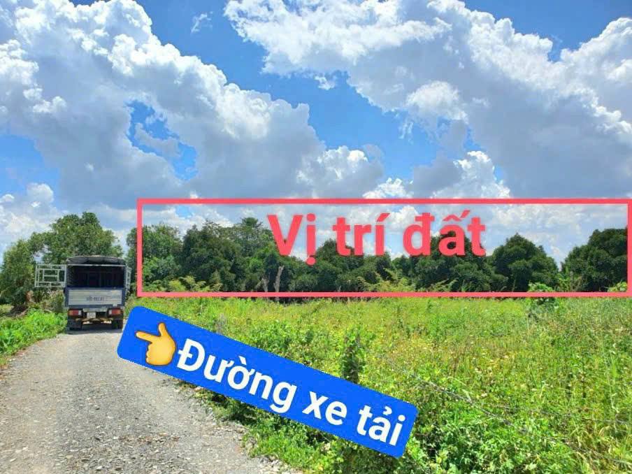 Bán đất vườn cây ăn trái đường Huỳnh Thị Hiếu, Tân An 5888m² - Cơ hội đầu tư tuyệt vời!