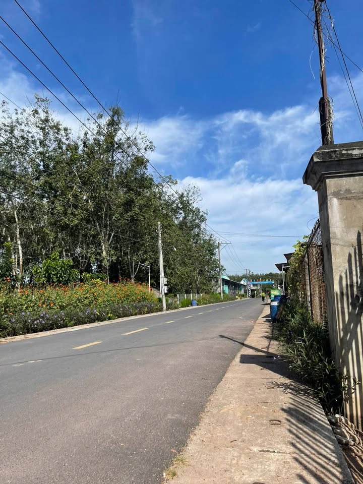 Đất nền Trừ Văn Thố, Bàu Bàng 270m² giá chỉ 1.1 tỷ - Nở hậu đẹp, dễ đầu tư!