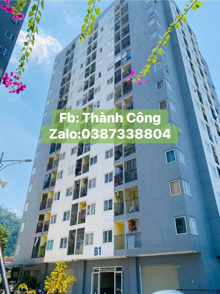 Căn hộ chung cư Hoà Khánh Đà Nẵng 34m² giá 800 triệu - Sổ đỏ chính chủ