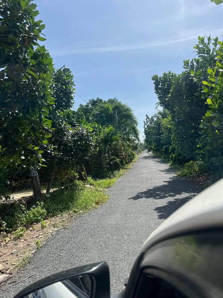 Đất nền xã Tân Quới, Vĩnh Long 136m² giá 530 triệu - Gần trung tâm hành chính