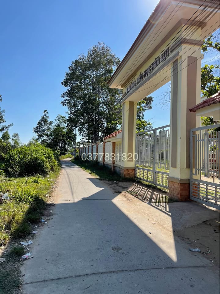 Đất mặt tiền đường ĐAL - Gần Đại học Trà Vinh - Giá 350 triệu - Cơ hội đầu tư tốt!