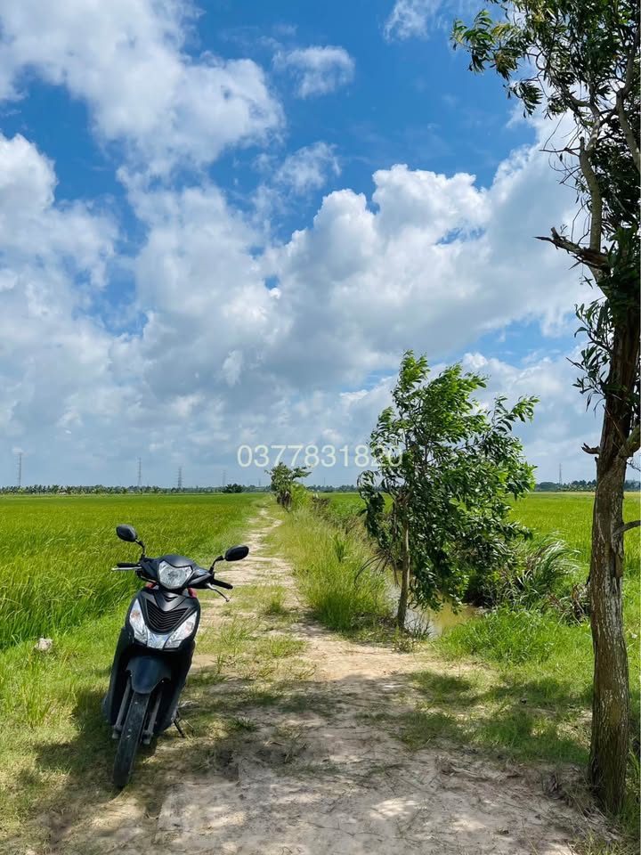 Đất mặt tiền bờ kênh Bình La, Châu Thành, Trà Vinh 4057m² giá 1.055 tỷ - Cơ hội đầu tư hiếm có!