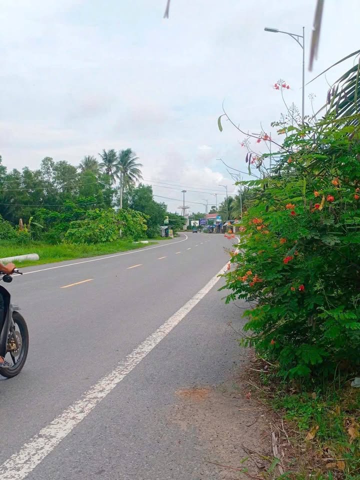 Đất mặt tiền đường 915b, Trà Vinh 1288m² giá 3.05 tỷ - Đầu tư sinh lời cao!