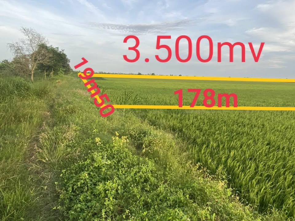 Đất ruộng mặt tiền bờ kênh lớn Đa Lộc 45000m² giá 675 triệu - Cơ hội đầu tư hấp dẫn!