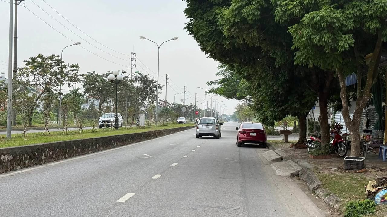 Lô Đất LK Mặt Đường Tứ Minh 69.75m² giá 3 tỷ - Vị trí đắc địa kết nối thuận lợi!