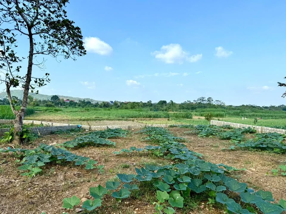 Đất nền Yên Bài, Ba Vì 760m² giá chỉ 5,x triệu/m² - Cơ hội đầu tư tuyệt vời!