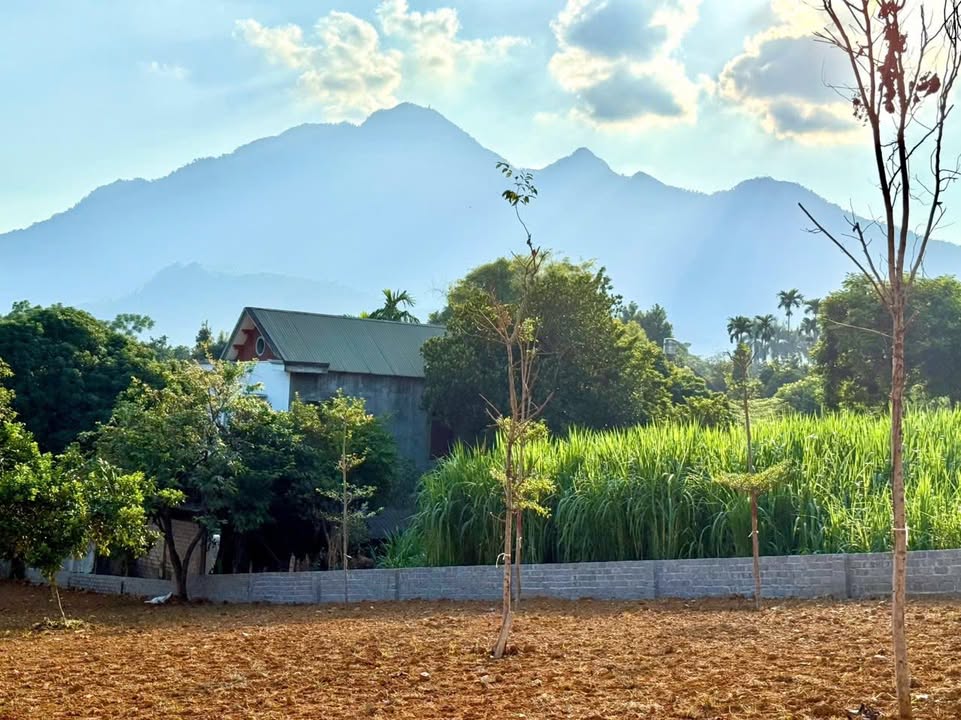 Đất nền Yên Bài, Ba Vì 1800m² - Vị trí đẹp, pháp lý rõ ràng!