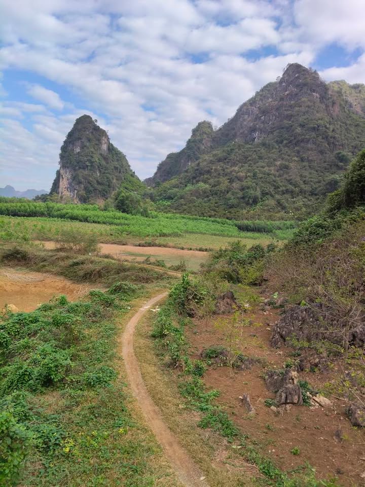 Farm 35.000m² tại xã Đồng Tiến, Hữu Lũng, Lạng Sơn giá chỉ 2 tỷ - Đầu tư sinh lời ngay!