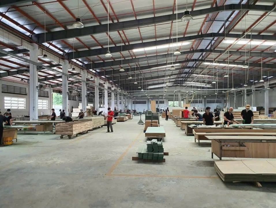 Xưởng sản xuất Củ Chi 10.000m² giá 105 tỷ - Đầu tư sinh lời ngay!