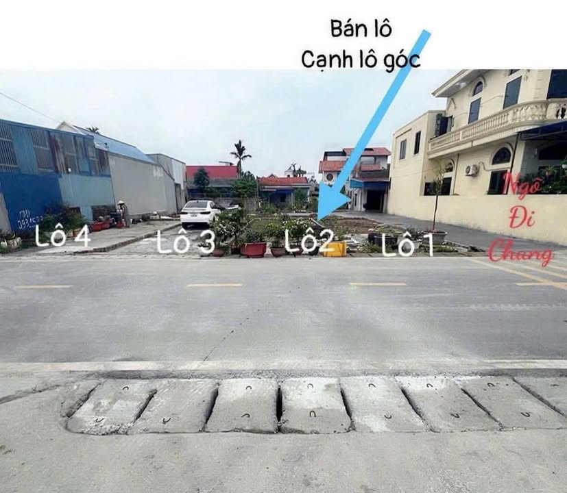 Đất nền mặt đường TDP Hoa Động - Thủy Nguyên 60m² giá 3 tỷ - Kinh doanh thuận lợi!