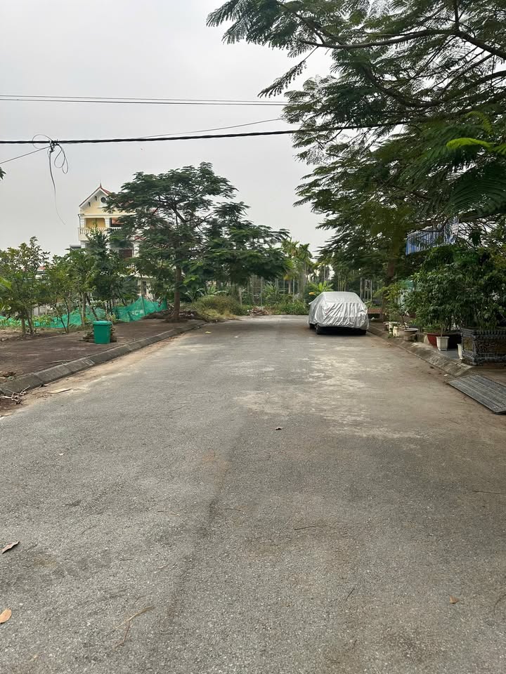 Đất lô góc khu tái định cư Bắc Sông Cấm - 60m² giá 3 tỷ - Đầu tư sinh lời ngay!