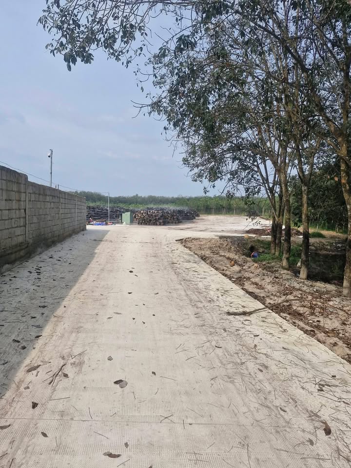 Đất SKC 7.000m² Tân Hiệp, Nhà Bè - Giá 30 tỷ, Đầu tư sinh lời cao!