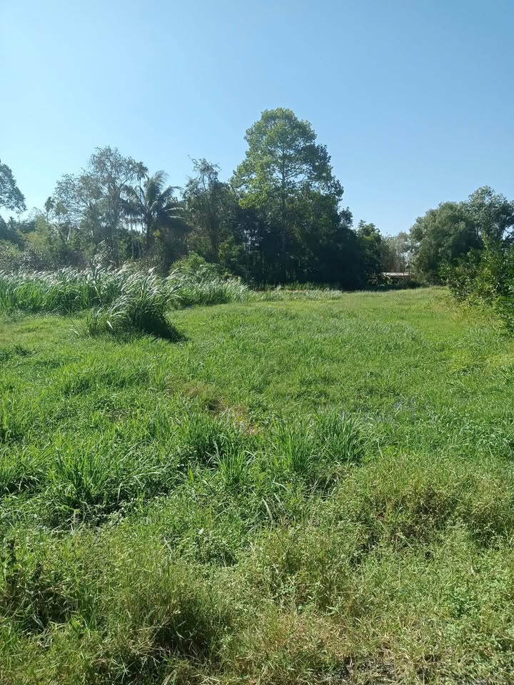 Đất nền 2 mặt tiền Nhuận Đức 2500m² giá chỉ 5 tỷ - Đầu tư sinh lời ngay!