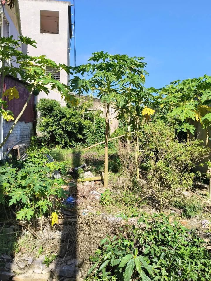 Đất nền 110m² tại thôn Đồng Toàn, huyện Hà Trung - Cơ hội đầu tư sinh lời!