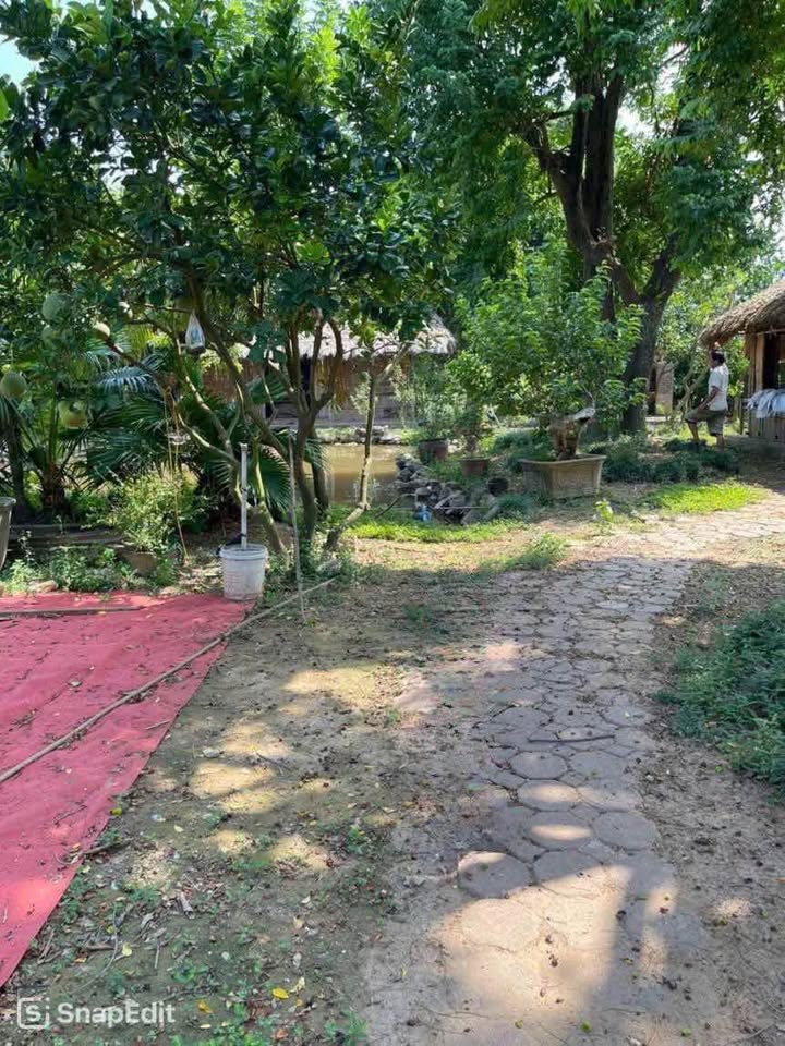 Bán Đất Tứ Liên Tây Hồ 1700m² giá 43 tỷ - Tiềm năng tăng giá bậc nhất!