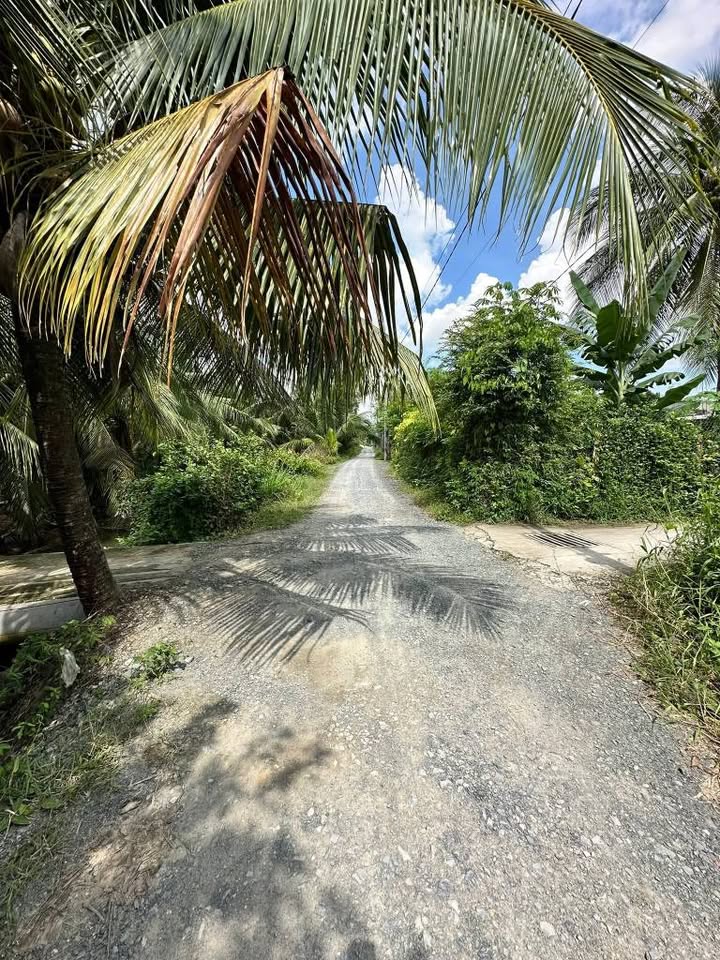 Đất thổ cư 2 mặt tiền tại Khánh Hậu, Tân An 124m² giá 880 triệu - Cơ hội đầu tư sinh lời!