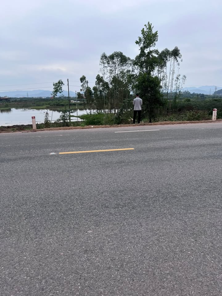 Đất thổ cư mặt tiền Quốc lộ 31, Lục Nam, 160m² giá 3 tỷ - Đầu tư sinh lời ngay!