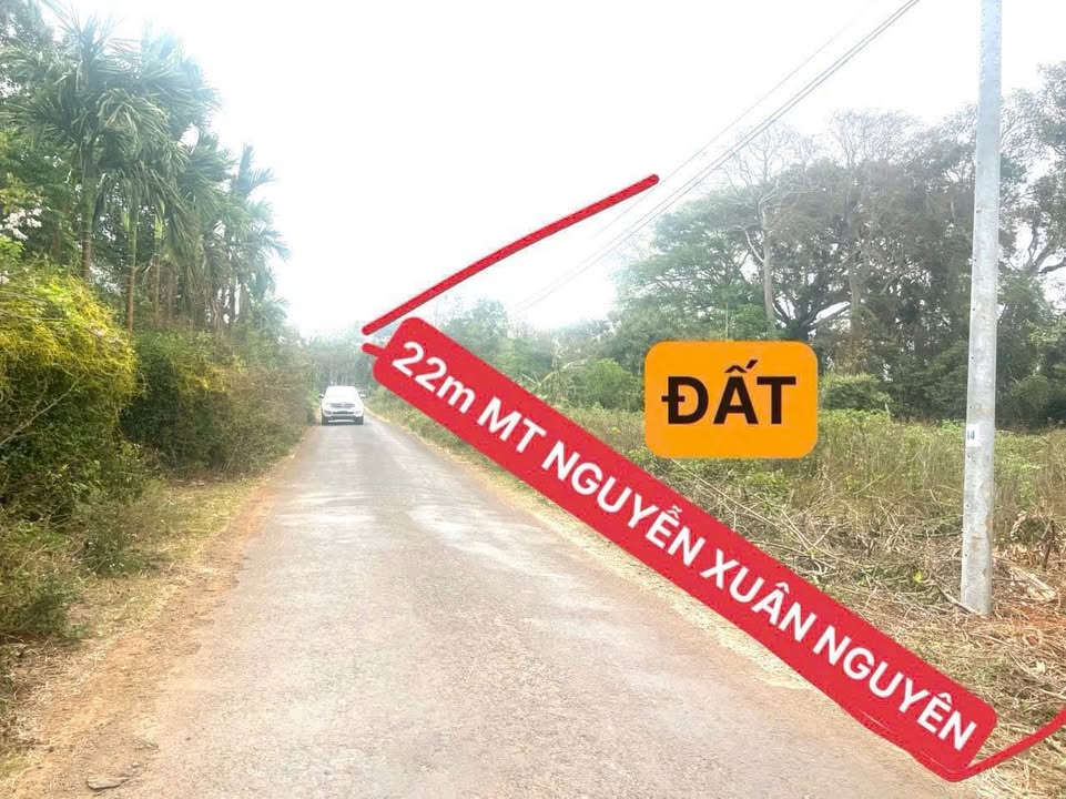 Đất mặt tiền Đường Nguyễn Xuân Nguyên, Tân An, 792m² giá 2.499 tỷ - Đầu tư sinh lời ngay!