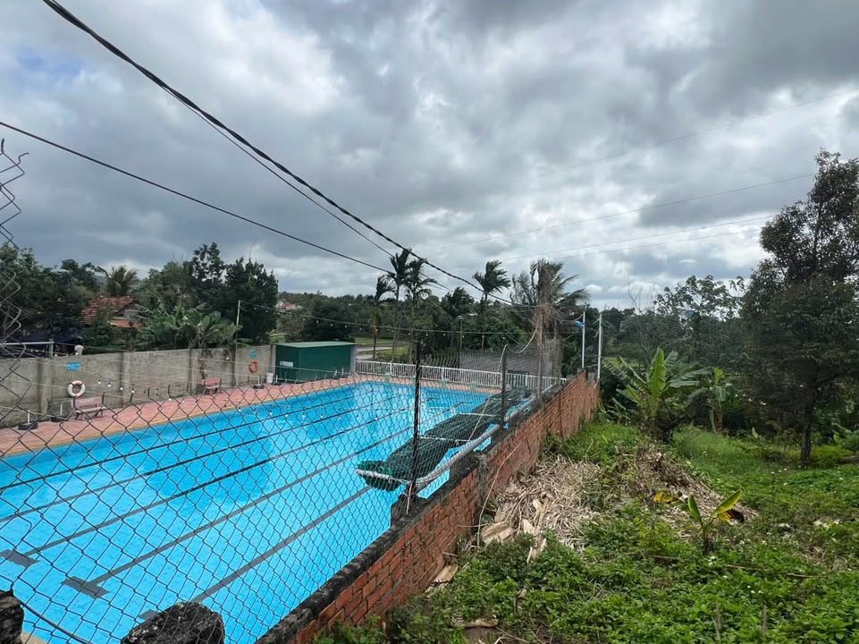 Đất thổ cư 600m² tại Ea Tam - Giá 2.69 tỷ - Hàng hiếm với view ruộng tuyệt đẹp!