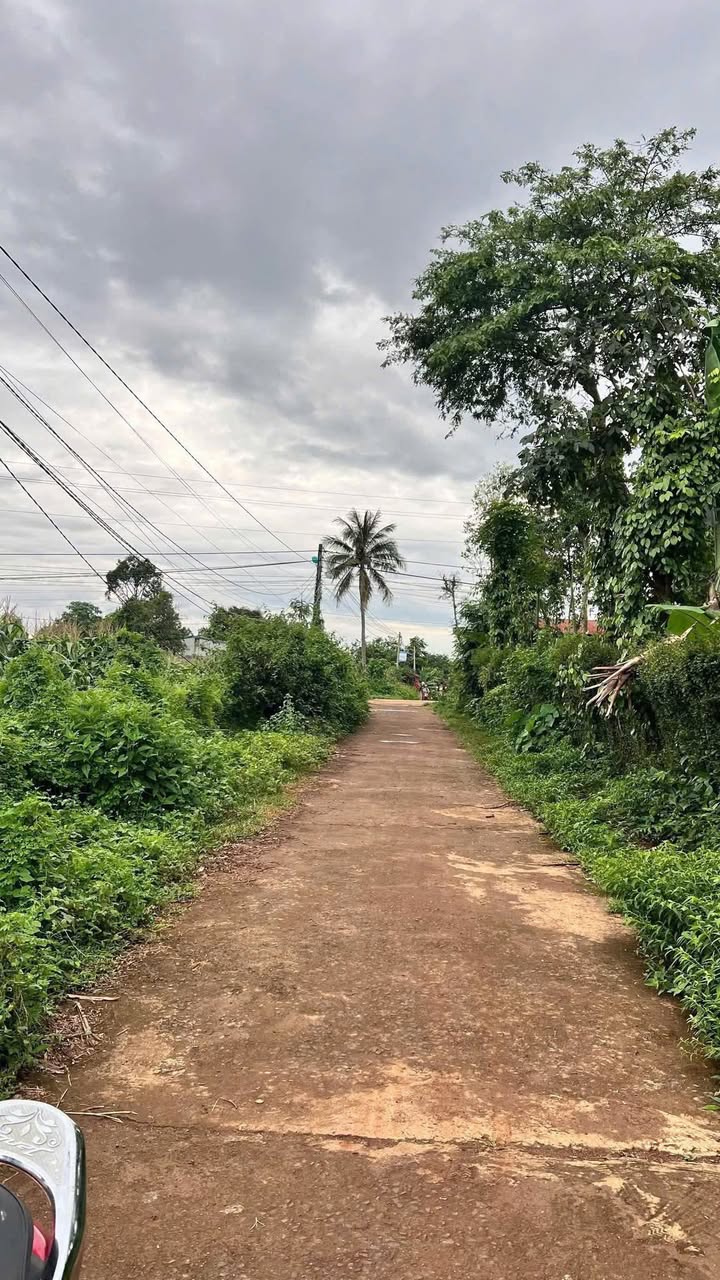 Đất vườn 740m² tại Phường Ea Kao, giá 1.39 tỷ - Cơ hội đầu tư tuyệt vời!