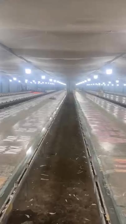 Nhà xưởng 600m² đường Võ Văn Vân, Bình Chánh - Giá 45 tỷ, thương lượng tốt!