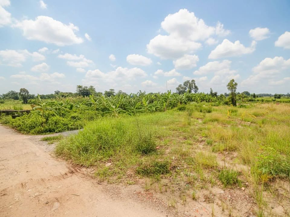 Đất Hóc Môn 1196m² giá 5 tỷ - Sổ đỏ chính chủ, vị trí đắc địa!