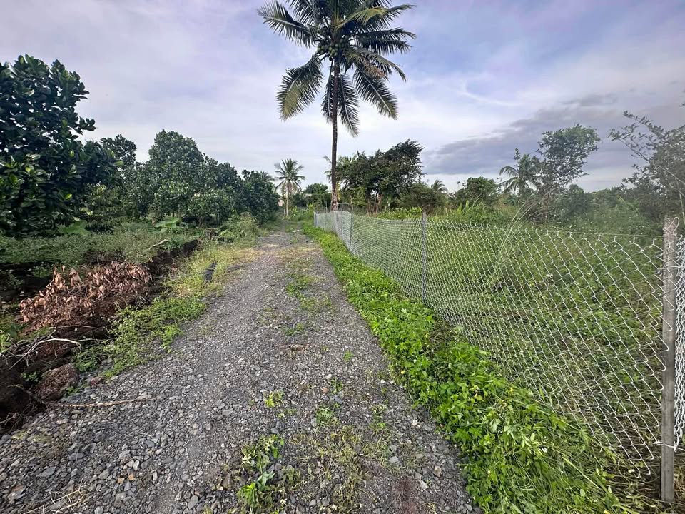 Đất nền 3600m² tại Phú Thịnh, Tân Phú giá chỉ 3.5 tỷ - Đầu tư sinh lời ngay!