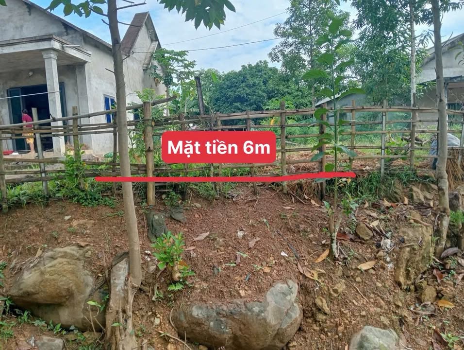 Đất nền 222m² tại Lai Đồng, Tân Sơn - Chỉ 100 triệu, đầu tư sinh lời!