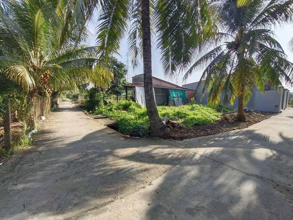 Đất nền hẻm ô tô vào được tại Phước Thạnh, Mỹ Tho 108m² - Giá 650 triệu, cơ hội đầu tư tốt!