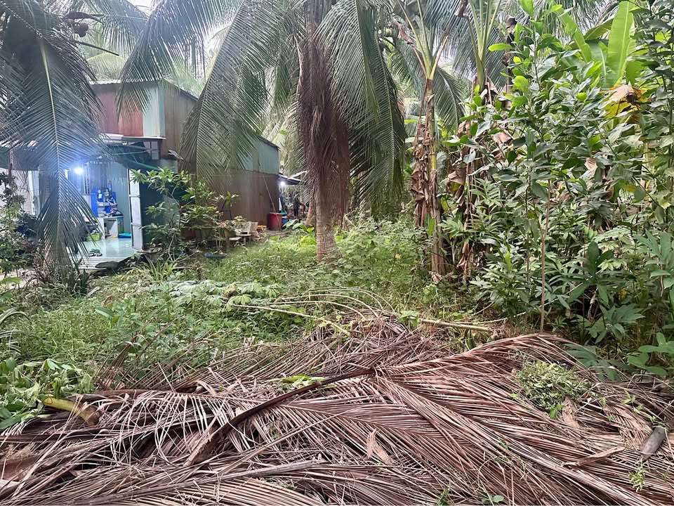 Đất vườn 163m² Dưỡng Điềm, Châu Thành - Giá chỉ 470 triệu - Cơ hội đầu tư tuyệt vời!