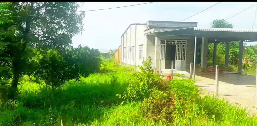 Đất nền mặt tiền Tỉnh Lộ 786, Long Chữ, Bến Cầu 330m² - Kinh doanh đa ngành nghề!