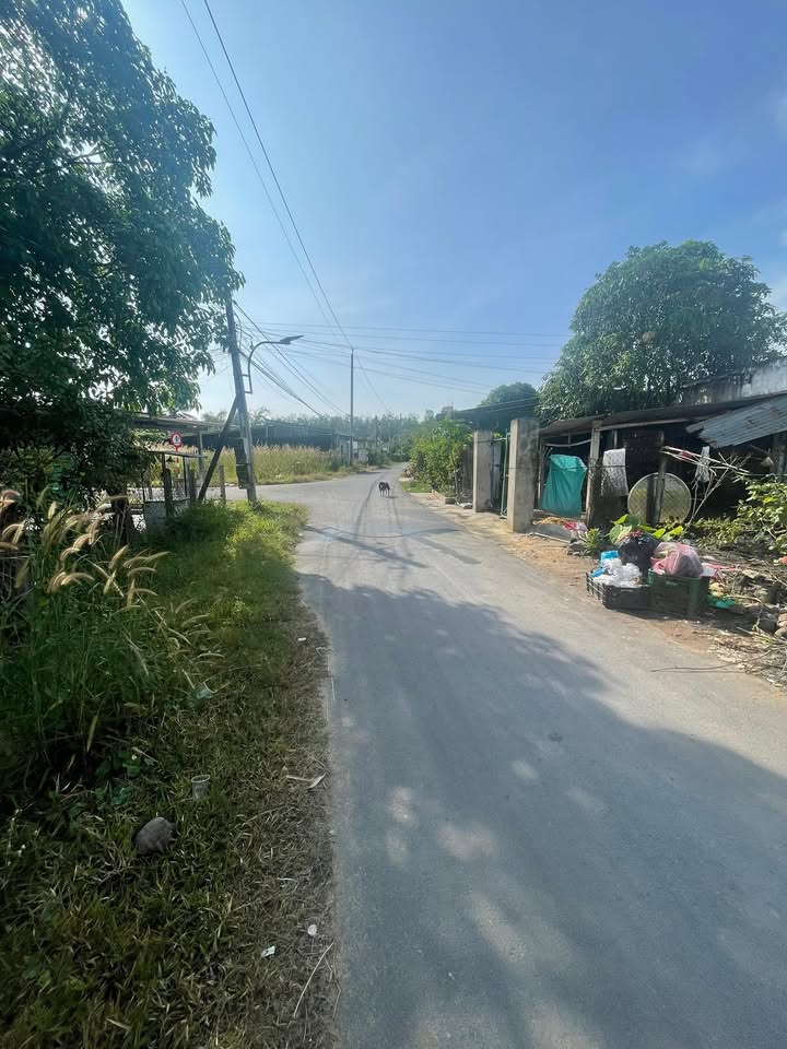 Bán đất Phước Thạnh Gò Dầu 302m² - Đường nhựa, sổ riêng, giá tốt!