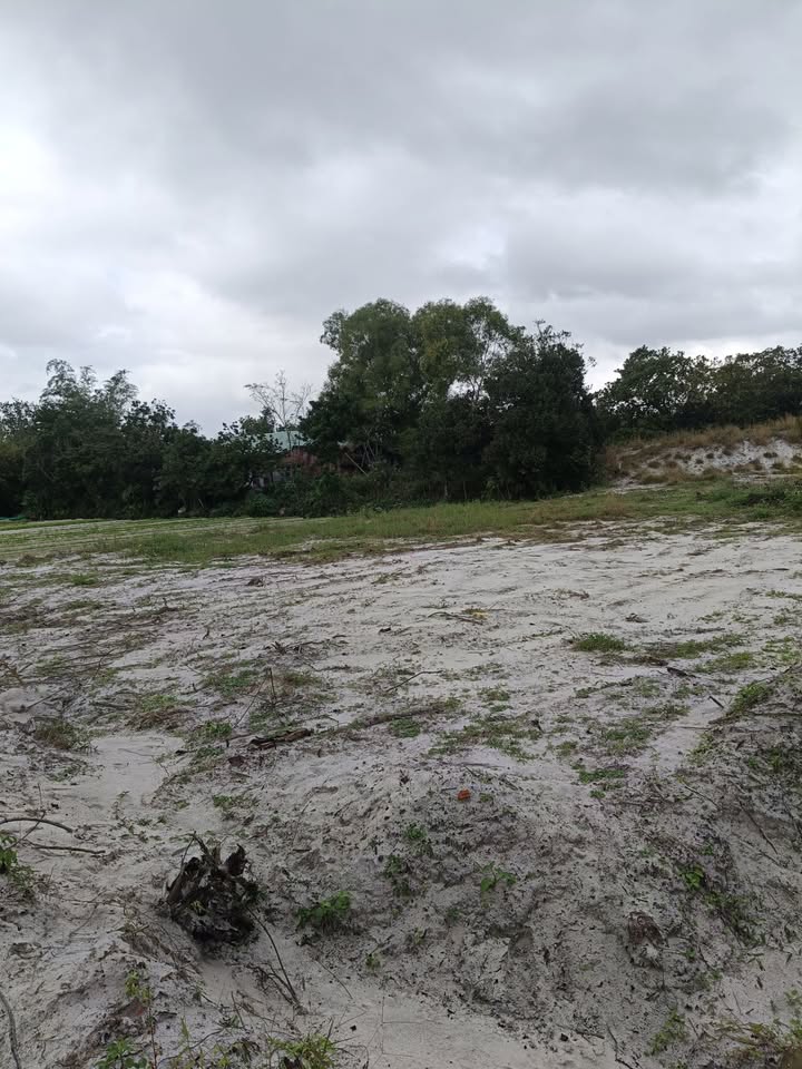 Đất nền chính chủ tại Bình Triều, Thăng Bình 108m² - Giá chỉ từ 3xx triệu!